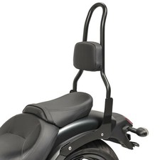 Sissy Bar L3 für Kawasaki