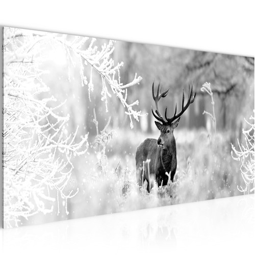 Wandbild natur bilder xxl - wandbild,
