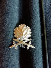 Eichenlaub mit Schwertern zum