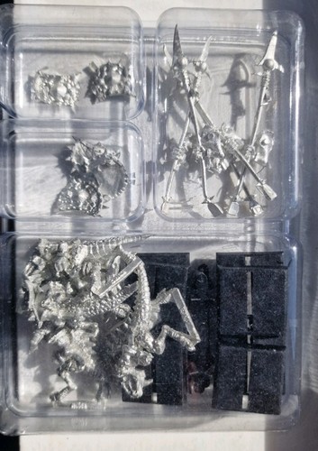 Warhammer saurus tempelwache - -,