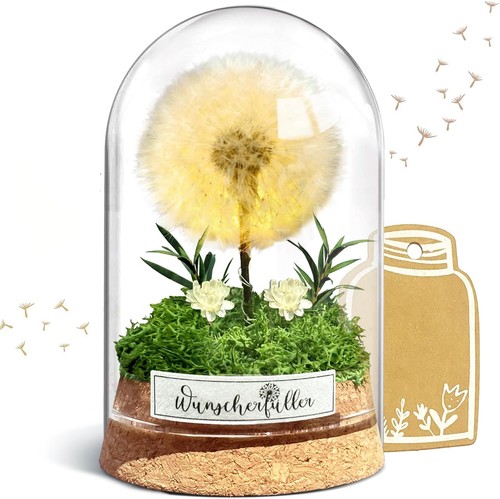 Led glasblume pusteblume - led, cm
