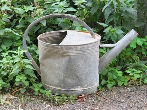 Alte zinkgießkanne gießkanne - alte,