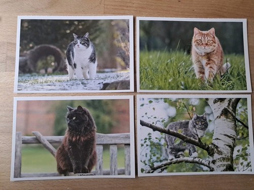 Ansichtskarten postkarten mi - 4,