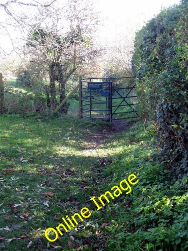 Foto 12x8 fußweg durch - durch, rushy