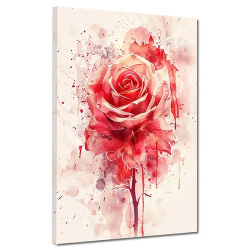 Rote rose abstrakt aquarell - rote,