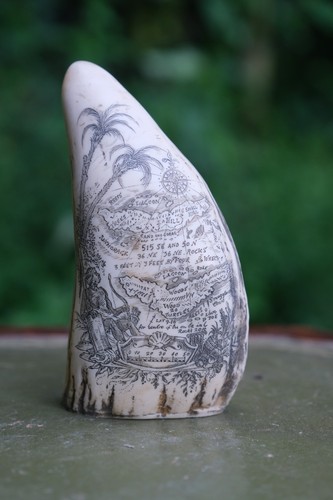 Faux scrimshaw - faux,