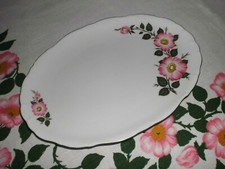 Winterling Kirchenlomitz Fleischplatte Servierteller Wildrosen Porzellan
