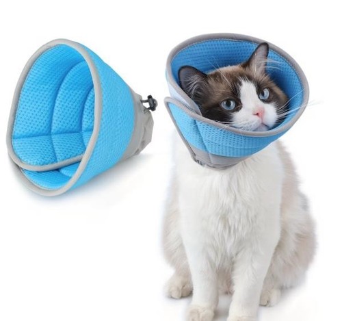 Halskrause für katzen - für,