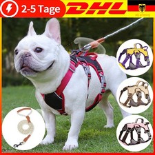 Hundegeschirr AntiZug