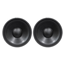 2x SoundLab 18" Treiber