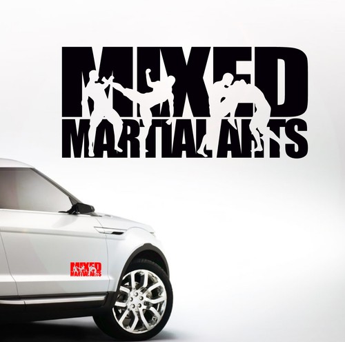 Mixed martial arts auto - martial,