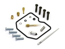 Vergaser Reparatur Satz