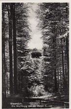 Eisenach, Die Wartburg von der Hohen Sonne ngl F9826