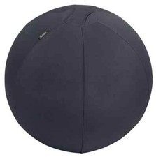 Leitz 6543 sitzball - leitz, 6543-00-89