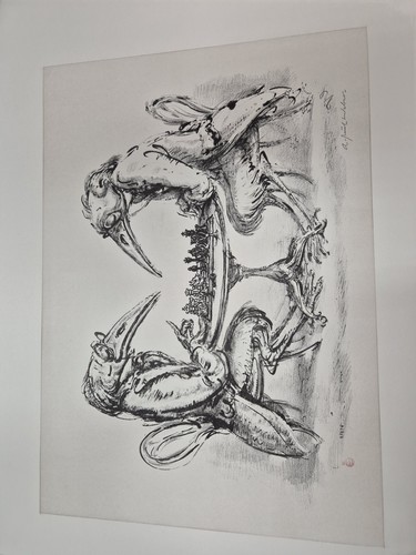 Paul weber sammlung 13 - sammlung,