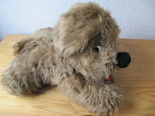 Heunec zottel hund terrier - heunec,