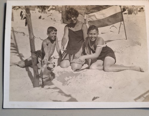Foto vintage schöne frau mit - vintage,