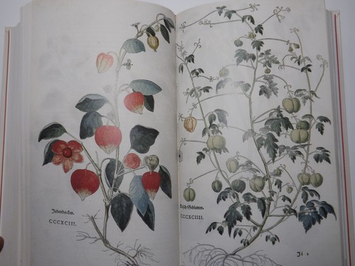 Leonhart fuchs kräuterbuch - leonhart,