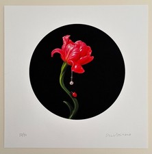 SALUSTIANO Tulipan de carne