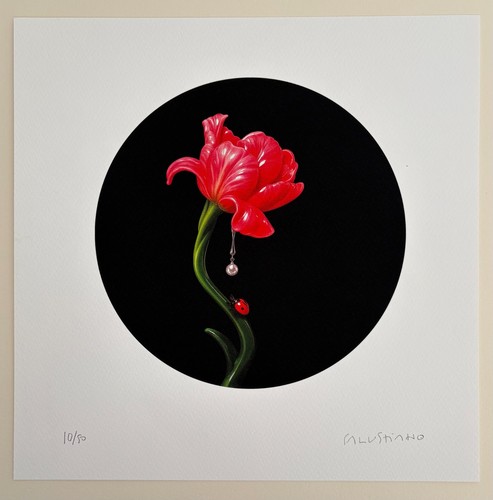 Salustiano tulipan carne - tulipan, de