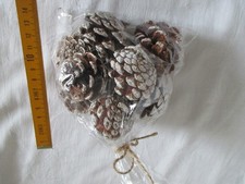 Tannenzapfen   Herbst Dekoration  Herbst   Tannenzapfen  Basteln