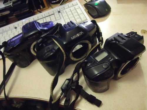 Minolta lote tres cameras para