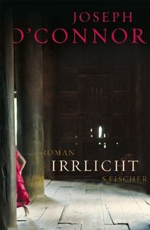 Irrlicht roman von - irrlicht:,