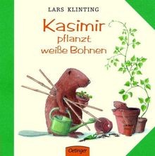 Kasimir pflanzt weiße bohnen - pflanzt,