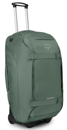 Osprey sojourn - osprey,