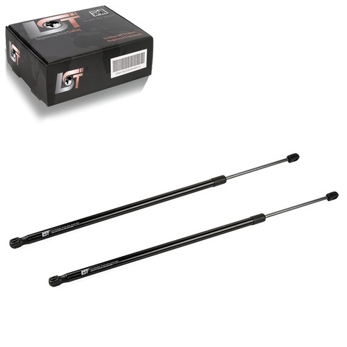 Gasfeder - 2x,