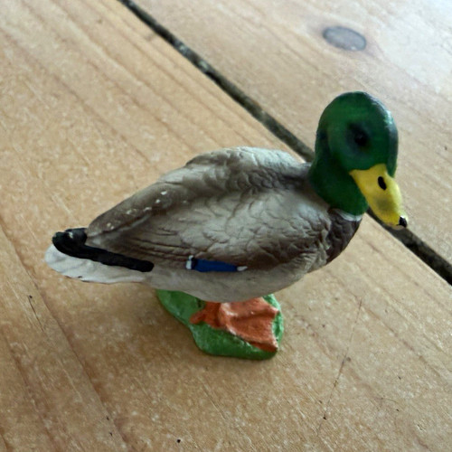Ente bauernhof grün braun - bauernhof, grün/braun