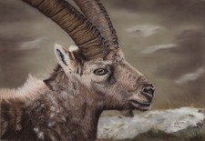 Original Pastell Gemälde