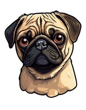 2X XXL Pug Dogs Car Stickers