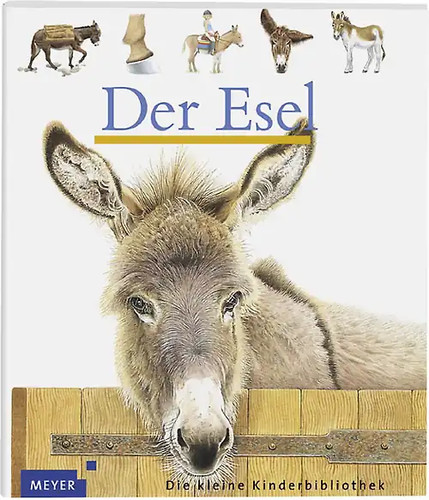 Der esel - der,
