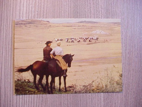 Winnetou unter geiern - -,
