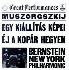 Bernstein - Bilder einer