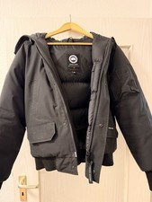 Canada goose chilliwack - goose,