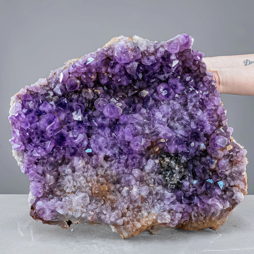 Riesen kaktus amethyst - riesen, aus
