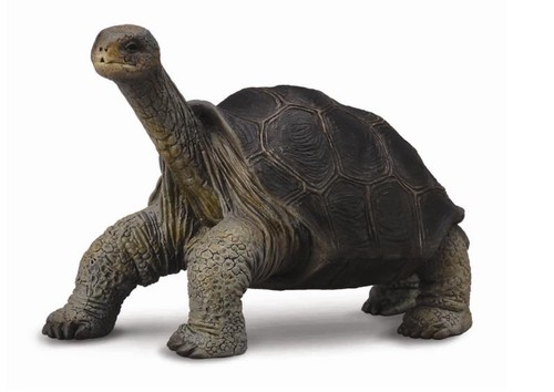Collecta 88619