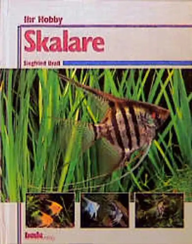 Ihr hobby skalare - ihr,