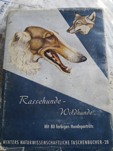 Rassehunde wildhunde winters - rassehunde,