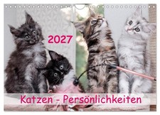Katzen persönlichkeiten 2027 - katzen,