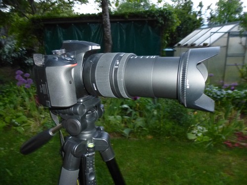 Nikon d5300 dslr - nikon,