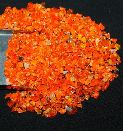 Lot natürlicher orange - 20, ct