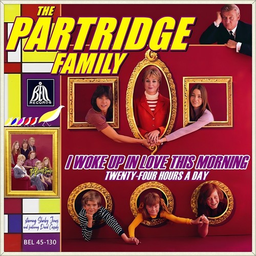 The partridge family i woke - i,
