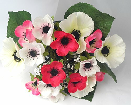 Anemone gemischte farben - anemone,