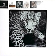 Eurographics Glasbild 30x30cm