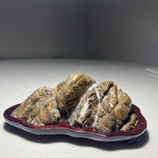 Suiseki Bonseki Bonsai