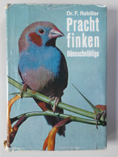 Dünnschnäblige Prachtfinken