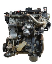 Motor für Nissan Navara 2,3
